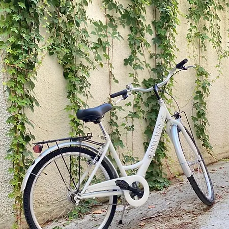 ホテル Riva E Mare 3*